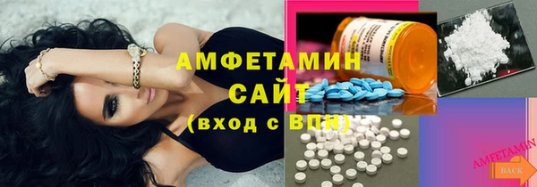 прущие грибы Беломорск