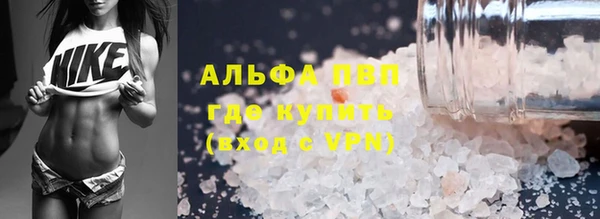 прущие грибы Беломорск