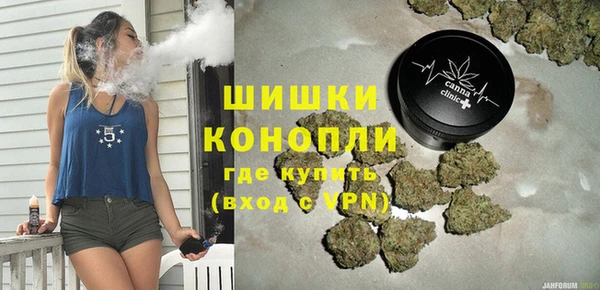 прущие грибы Беломорск