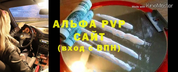 прущие грибы Беломорск