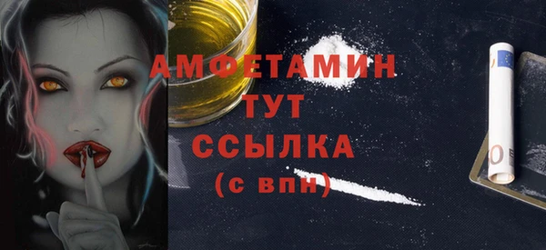 прущие грибы Беломорск
