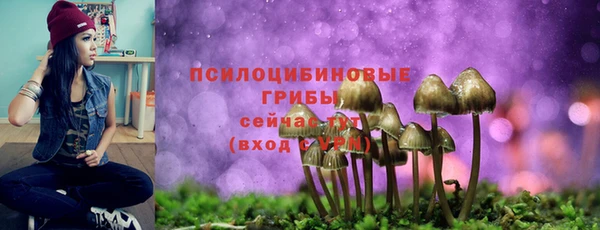 apvp Белоозёрский