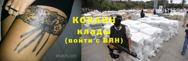 прущие грибы Беломорск