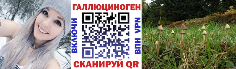 Галлюциногенные грибы MAGIC MUSHROOMS Пыть-Ях