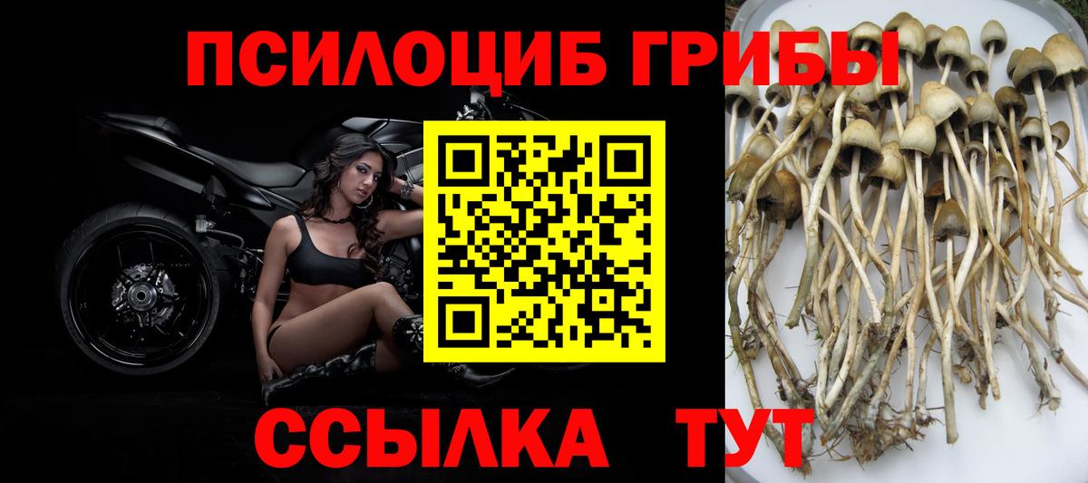 Галлюциногенные грибы Cubensis  Галлюциногенные грибы прущие грибы  магазин  наркотиков  Вход с VPN  Пыть-Ях 